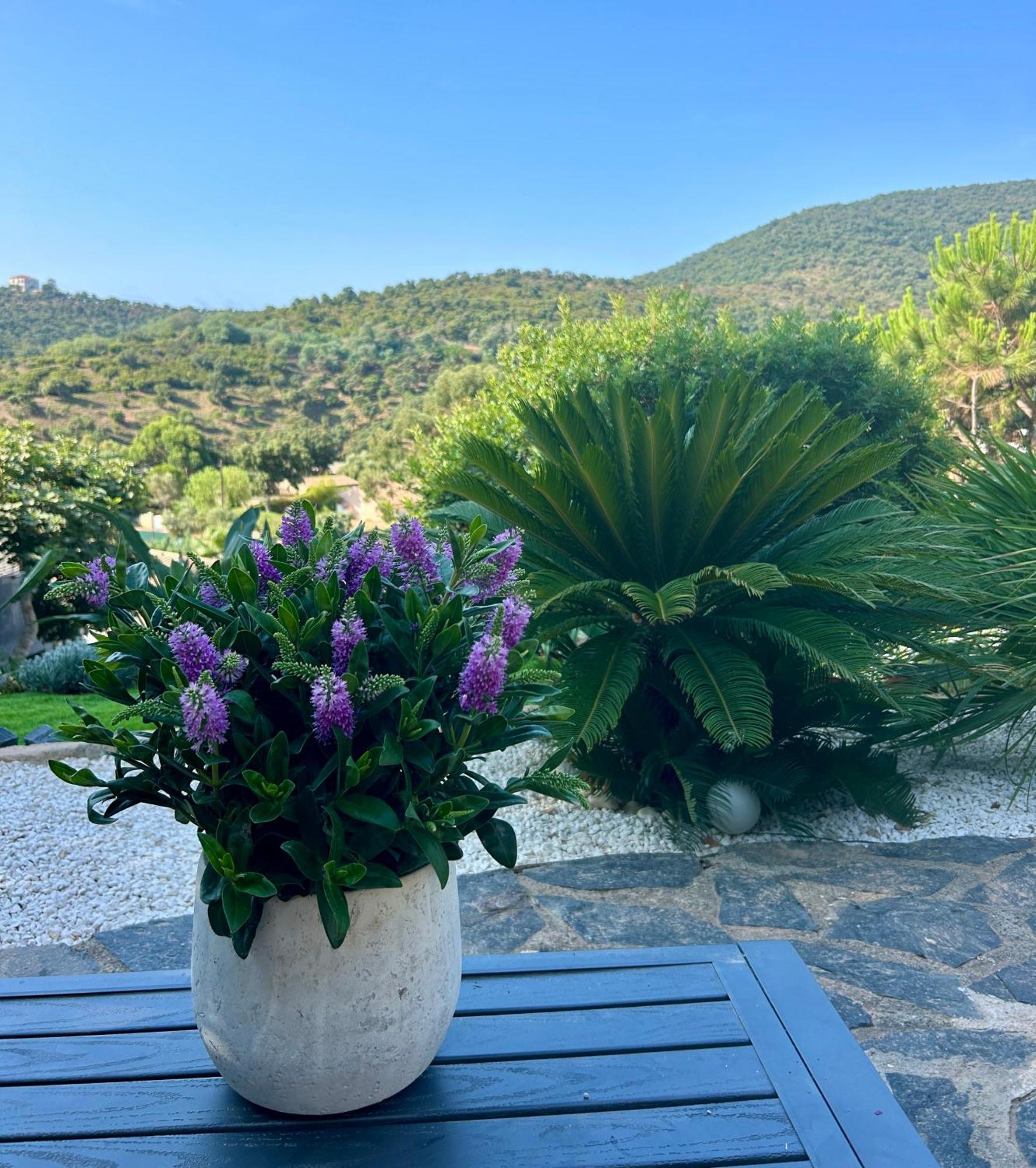 Belle Chambre Privee Avec Le Jardin Privatif Et Le Jacuzzi Cavalaire-sur-Mer Exterior foto